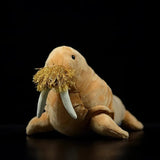 Plush Realistic Walrus with Mustache and Tusks!
