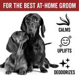 PRIDE+GROOM DOGDAYS Dog Deodorizing Spray