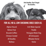 PRIDE+GROOM DOGDAYS Hydrating Dog Shampoo