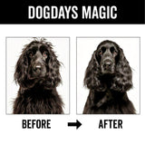 PRIDE+GROOM DOGDAYS Leave-In Detangling Spray