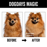 PRIDE+GROOM DOGDAYS Moisturizing Dog Conditioner-VEGAN, ALL NATURAL!
