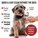 PRIDE+GROOM DOGDAYS Waterless Foaming Shampoo