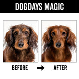 PRIDE+GROOM DOGDAYS Waterless Foaming Shampoo