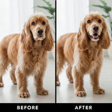 PRIDE+GROOM THE LEAVE IN Conditioner for Dogs and Cats