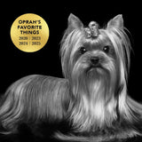 PRIDE+GROOM THE LEAVE IN Conditioner for Dogs and Cats