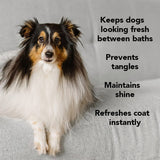 PRIDE+GROOM THE LEAVE IN Conditioner for Dogs and Cats