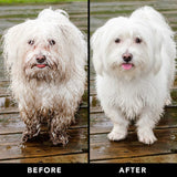 PRIDE+GROOM The No-Shed THE NON SHEDDER Dog Shampoo