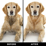 PRIDE+GROOM The Sensitive One THE SENSITIVE ONE Dog Shampoo