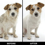 PRIDE+GROOM The Shedder THE SHEDDER Dog Shampoo
