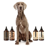 PRIDE+GROOM THE WASH SAMPLE PACK — Try PRIDE+GROOM's Best-Selling Dog Shampoos & Conditioner