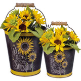 You Are My Sunshine Bucket Set