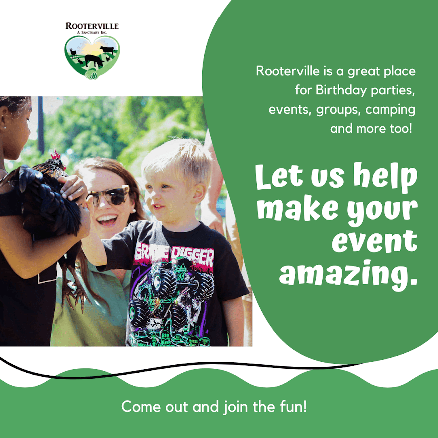 Rooterville A Sanctuary Inc Wedding Ceremony with Rescued Farm Animals & Butterflies!