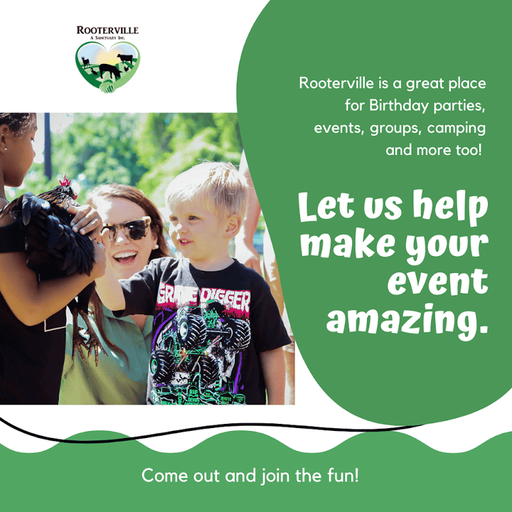 Rooterville A Sanctuary Inc Wedding Ceremony with Rescued Farm Animals & Butterflies!