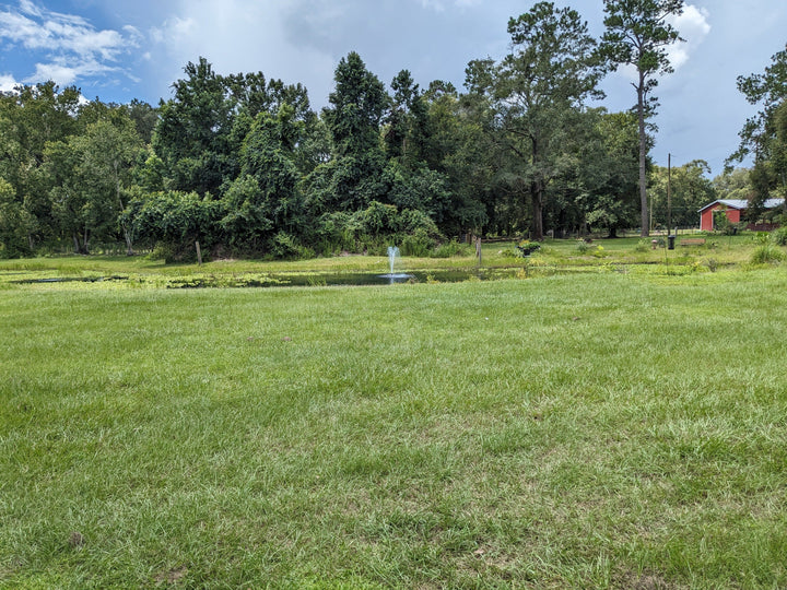 Rooterville A Sanctuary Inc Wedding Ceremony with Rescued Farm Animals & Butterflies!