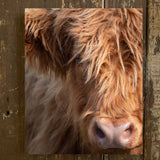 Rustic Nester 8x10 Rustic Nester - Highland Cow Canvas Art Print, Farmhouse Rustic Photo Decor,