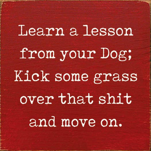 SAWDUST CITY SAWDUST CITY - Learn A Lesson From Your Dog; Kick Some Grass Over That Shit