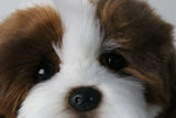 Plush Shih Tzu Puppy Brown and White
