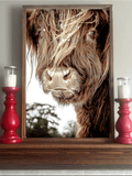 I’ve Got Attitude – Highland Cow Farmhouse Sign