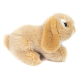 Tan and White Lop Earred Plush Bunny Rabbit by Teddy Hermann