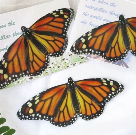Monarch Butterfly 3D Magnet Set