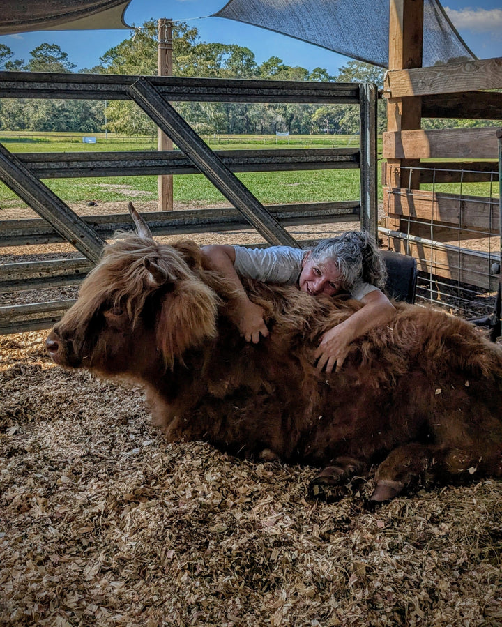 The Pink Pigs, Animal Lover's Boutique Experience Fee/Gift Rooterville EXPERIENCES-Great Gift Idea!