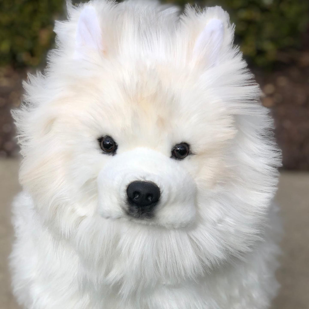 Life Size Samoyed Fluffy White Plush Dog, Beautiful! – The Pink Pigs