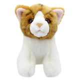 Mini Ginger Cat Plush Toy - Wilberry
