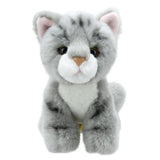 The Puppet Company (US) The Puppet Company (US) - Wilberry Mini Cat Plush Toy - Grey