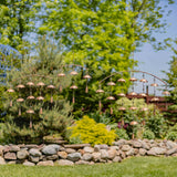 Zaer Ltd. International Zaer Ltd. International - Antique Copper Umbrella Wind Chimes with Bells- 3 Sizes