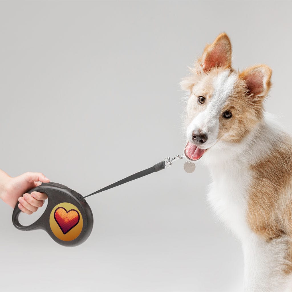 Heart Print Retractable Pet Leash - Icon Leash - Video Game Dog Leash