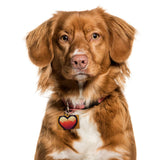 Video Game Heart Pet ID Tag - Icon Pet Tag - Graphic Pet ID Tag