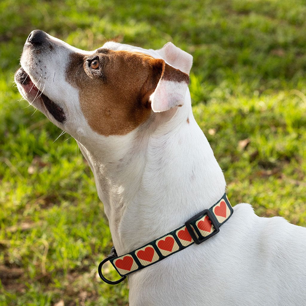 Video Game Graphic Pet Collar - Icon Dog Collar - Heart Dog Collar