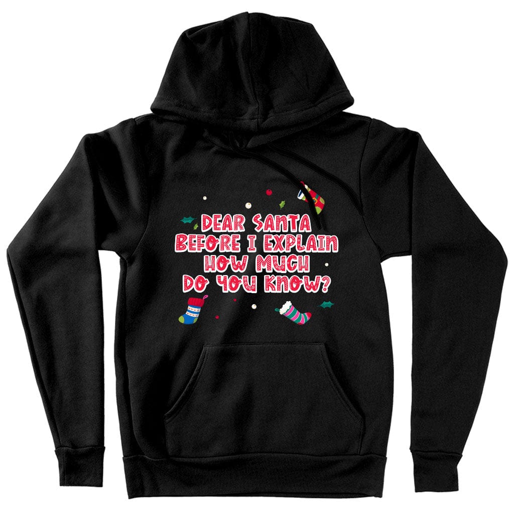 Funny Christmas Hooded Sweatshirt - Graphic Hoodie - Funny Hoodie