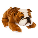 Realistic Red and White Bulldog Two Sizes of Ultra Cuteness!