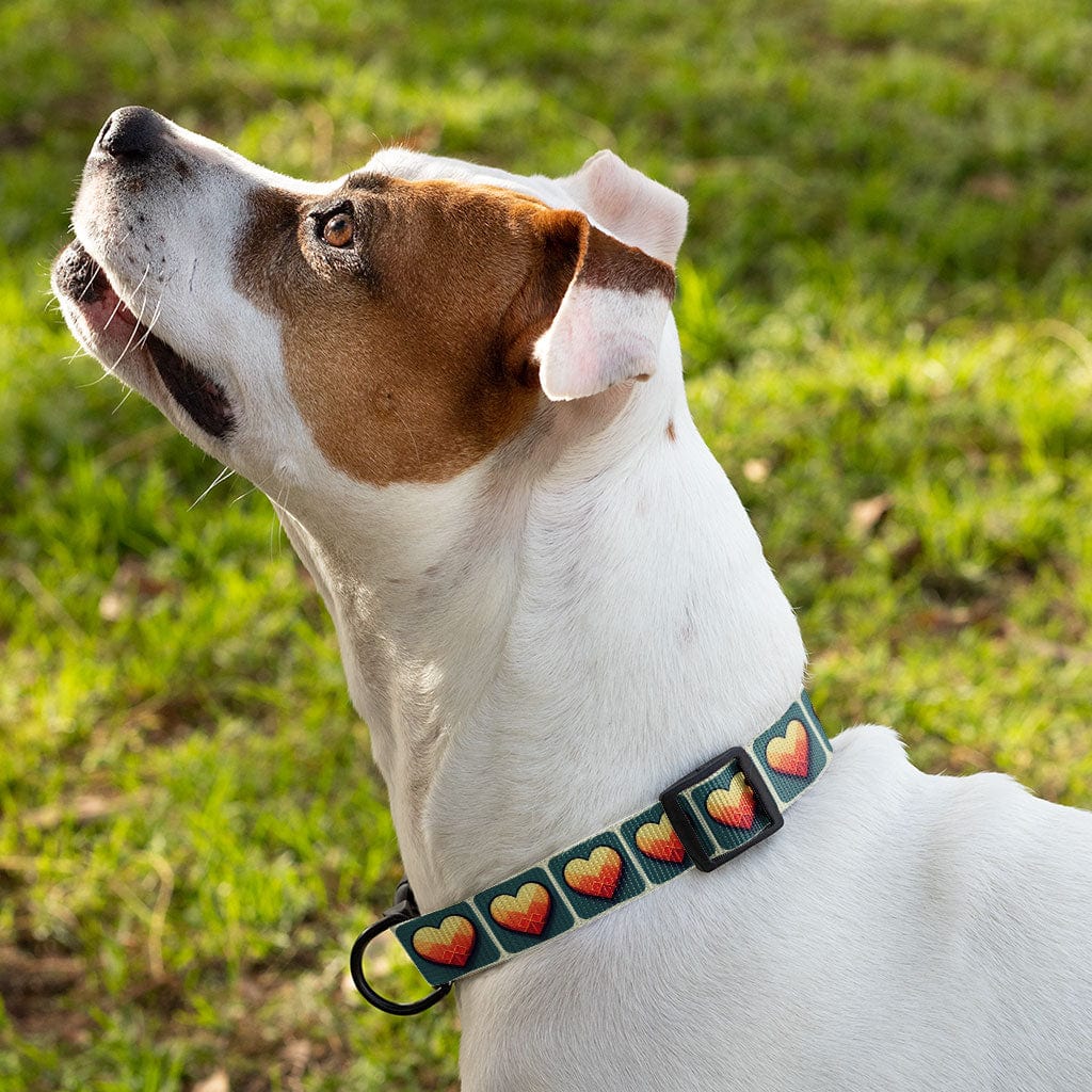 Video Game Pet Collar - Fantasy Dog Collar - Heart Dog Collar