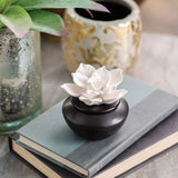 Porcelain Gardenia Airome Diffuser with Peppermint Oil Aromatherapy
