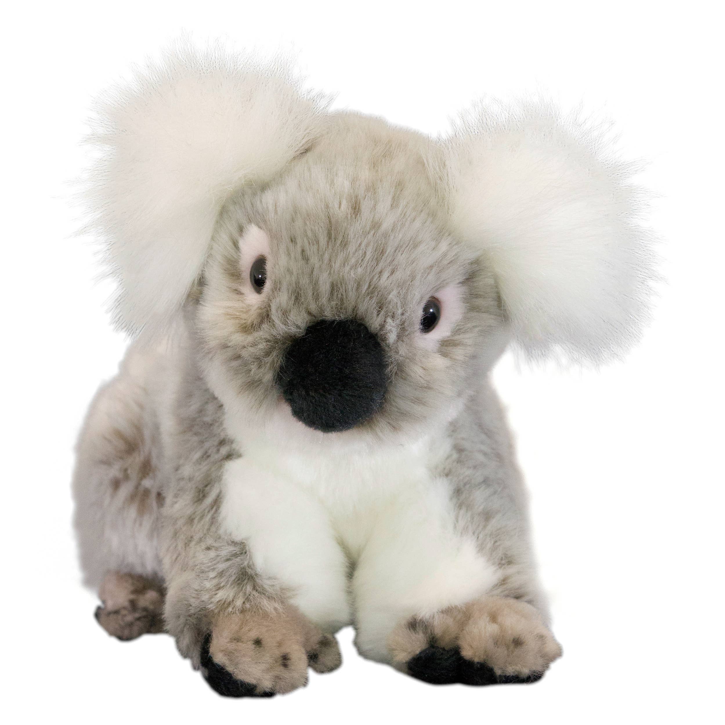 New Arrival 2023 Lovely Plush Koala Bear Toy with T-Shirt Print