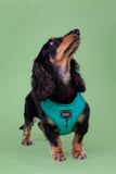 Adjustable Dog Harness - Napa Green