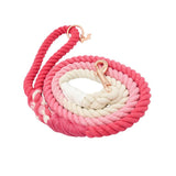 Rope Leash - Ombre Pink