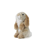 Lop Eared Rabbit-Sitting Brown Plush Bunny Toy