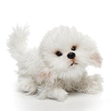 Plush Dogs: Bulldog, Bichon, French Bulldog & Blk Poodle-Non Sporting Breeds - The Pink Pigs, A Compassionate Boutique