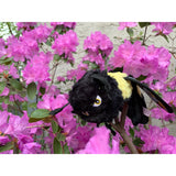 Ruffian Bumble Bee Dog Toy- Durable