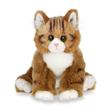 Maine Coon Plush Cat Lifelike! *