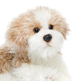 Plush Mixed Breeds: Maltipoo, Chorkie, Terrier Mix, Lab Mix & Labradoodles - The Pink Pigs, A Compassionate Boutique