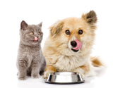 Pet Pantry: Animal Treats Buy a Bag of Food for Hungry Pets