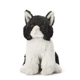 Small Plush Cat Collection: Calico, Persian, Tabby, Tuxedo, Maine Coon, Sphynx, SIamese MORE! - The Pink Pigs, Animal Lover's Boutique