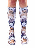 Puppies All Over Puppy Picture Women's Knee High Socks *