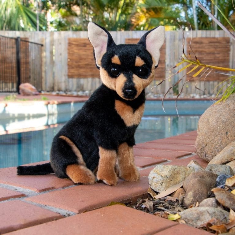 Plush Toy Stuffed Chihuahua  Dog Black and Tan  Size 25cm/10"
