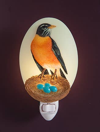 Realistic Robin With Nest Night Light- Handpainted by Ibis and Orchid