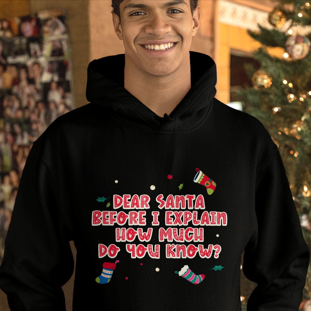 Funny Christmas Hooded Sweatshirt - Graphic Hoodie - Funny Hoodie